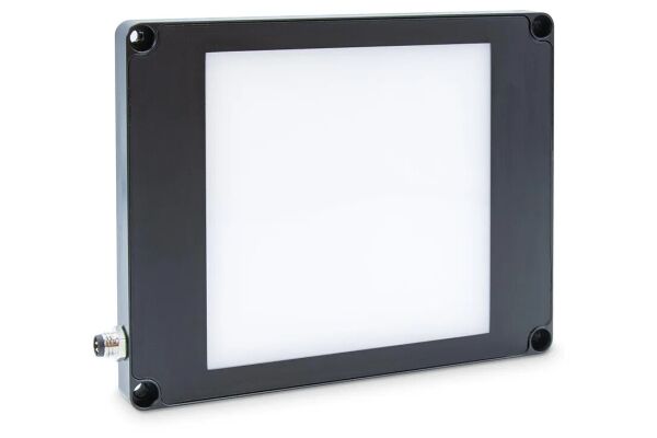 Basler Standard Light Back-100x100-Blue