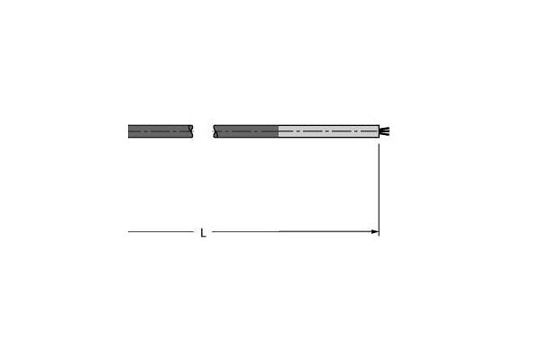 RKSW 455-2M