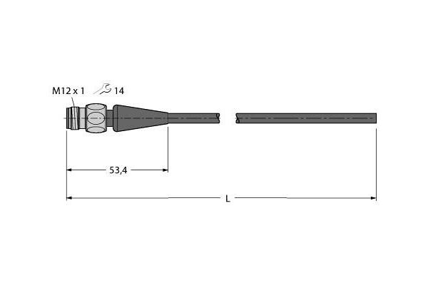RSH4-2/TFG